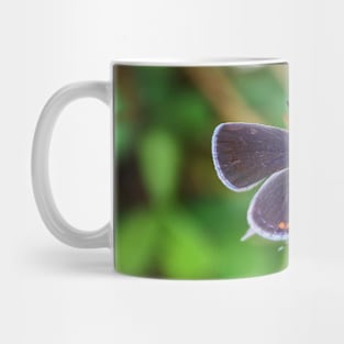 Common Blue Butterfly Mug